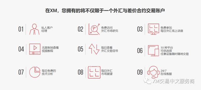 xm外汇官方网站(xm外汇交易中文官网)